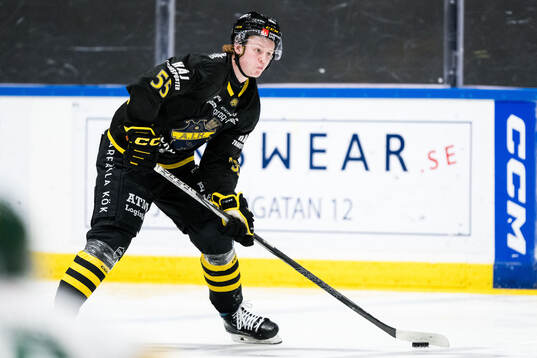 AIKs Viggo Gustafsson