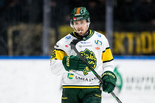 Björklövens Fredrik Forsberg deppar
