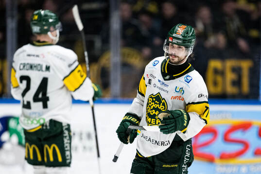 Björklövens Gustav Possler deppar