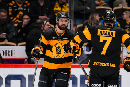 Skellefteås Luke Witkowski