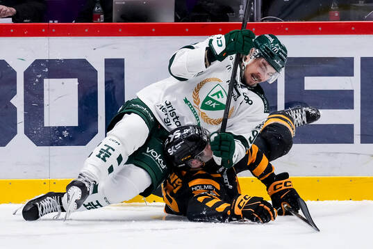 Färjestads David Tomasek och Skellefteås Luke Witkowski