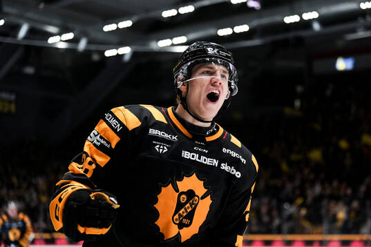 Skellefteås Michael Brandsegg-Nygård jublar