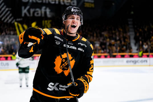 Bläddra bland fler bilder av Ishockey, SHL, Kvartsfinal 4, Skellefteå - Färjestad