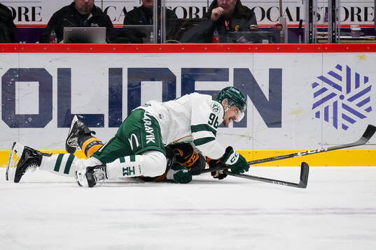 Färjestads David Tomasek och Skellefteås Luke Witkowski