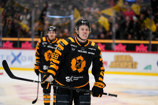Skellefteås Michael Brandsegg-Nygård