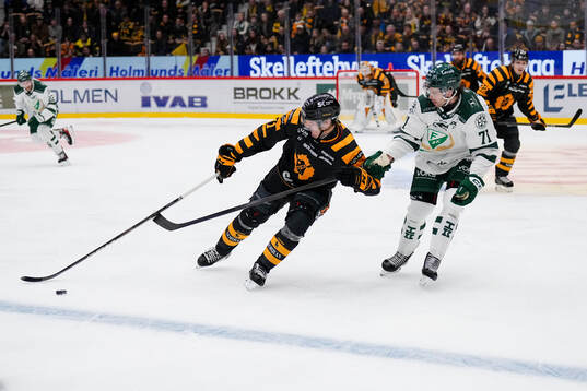 Skellefteås Max Lindholm och Färjestads Viktor Lodin