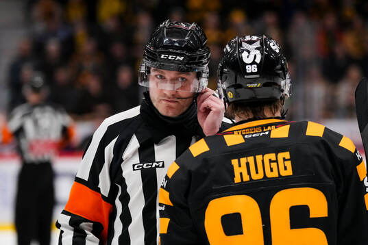 Domare Daniel Eriksson och Skellefteås Rickard Hugg