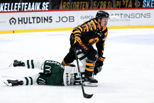 Skellefteås Pär Lindholm