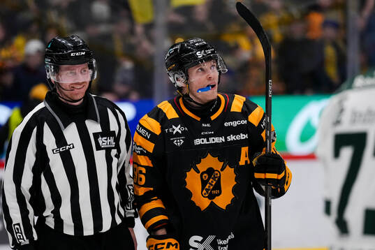 Skellefteås Rickard Hugg