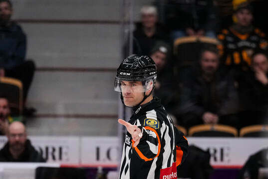 Domare Richard Magnusson