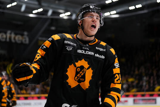 Skellefteås Michael Brandsegg-Nygård jublar