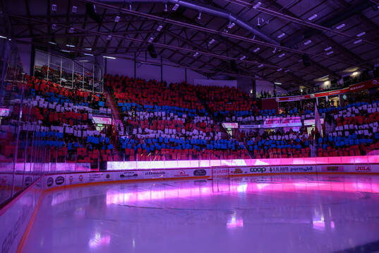 Publiken med tifo