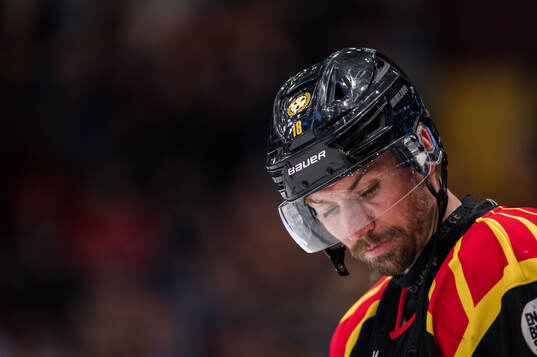 Brynäs Anton Rödin