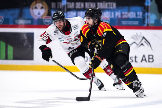 Malmö Redhawks Carl Persson och Brynäs Bobby Trivigno