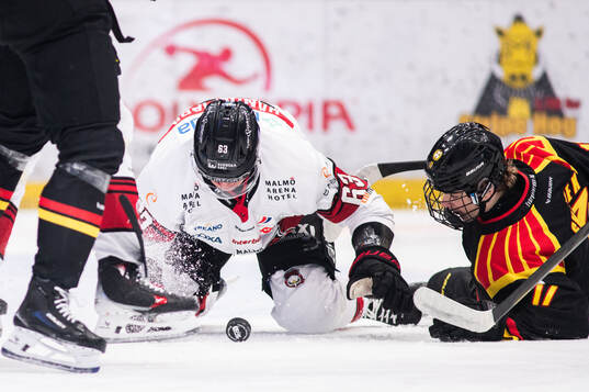 Malmö Redhawks Fredrik Händemark och Brynäs Michal Svrcek