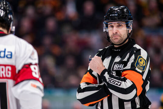 Domare Mikael Sjöqvist
