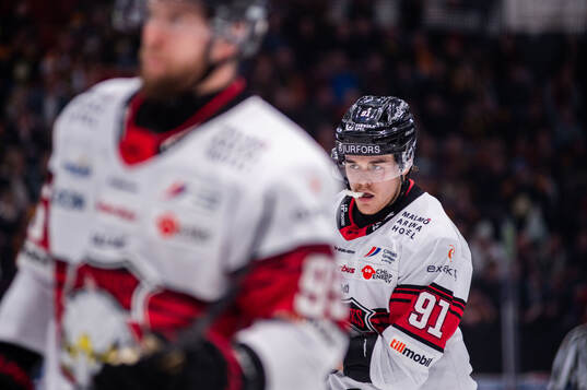 Malmö Redhawks Axel Sundberg deppar