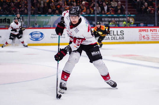 Malmö Redhawks Fredrik Händemark