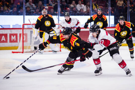 Brynäs Anton Rödin och Malmö Redhawks Henrik Haapala