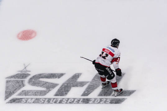 Malmö Redhawks Nikola Pasic