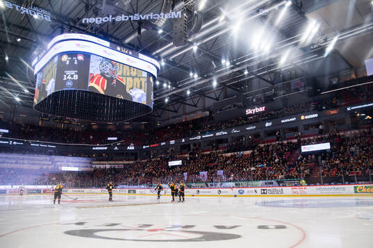 Monitor ERP Arena