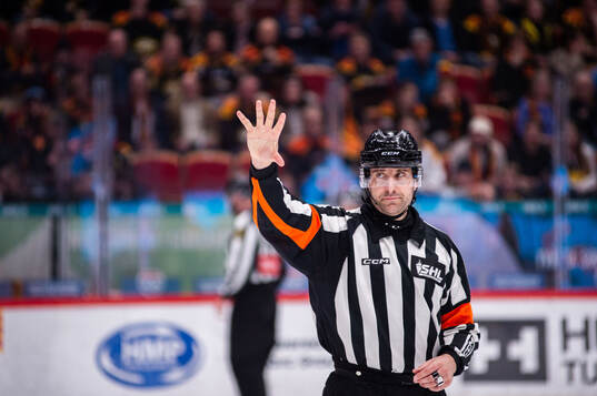 Domare Mikael Sjöqvist
