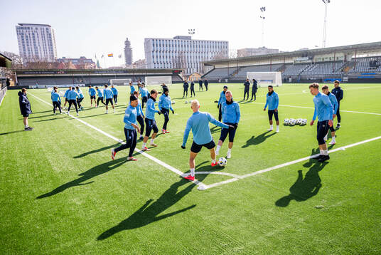 Malmö FFs Daniel Gudjohnsen