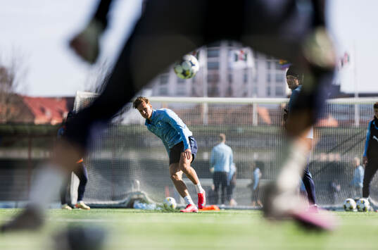 Malmö FFs Erik Botheim