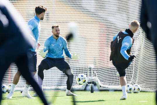 Malmö FFs målvakt Ricardo Friedrich