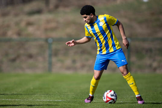 Eskilsminnes Mahdi Fatahi