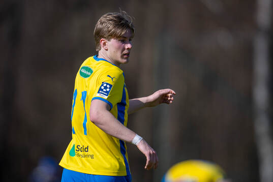 Eskilsminnes Hampus Stoltz