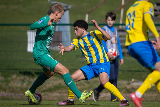 Eskilsminnes Mahdi Fatahi