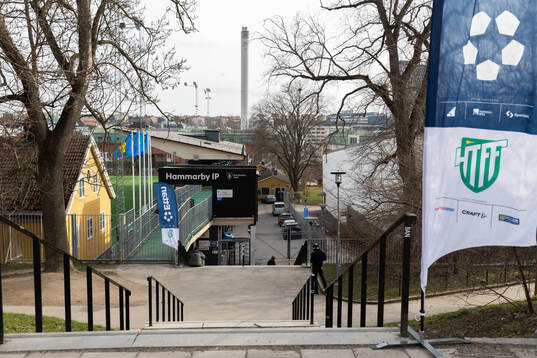 Hammarby IP
