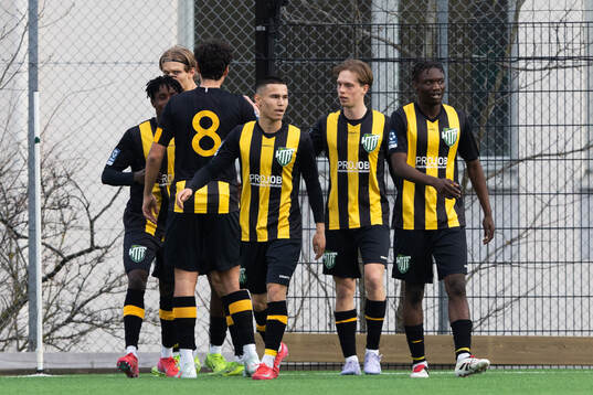 Hammarby TFFs spelare jublar