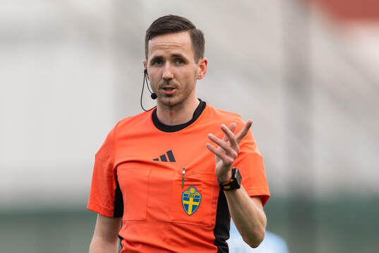 Domare Henric Karlsson