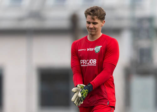 Hammarby TFFs målvakt Amar Dzevlan