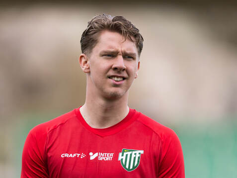 Hammarby TFFs målvakt Amar Dzevlan