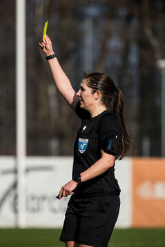 Domare Ulrica Löv