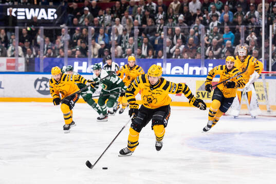 Skellefteås Max Lindholm
