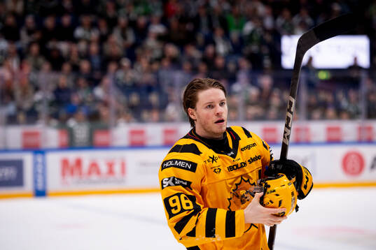 Skellefteås Rickard Hugg