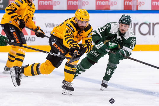 Skellefteås Luke Witkowski och Färjestads Joel Kellman