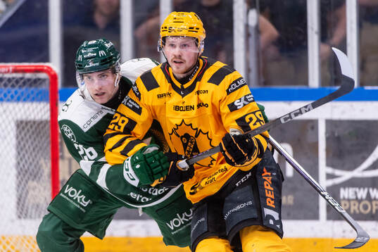 Färjestads Joel Nyström och Skellefteås Ludvig Warg