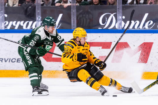 Färjestads Joel Nyström och Skellefteås Michael