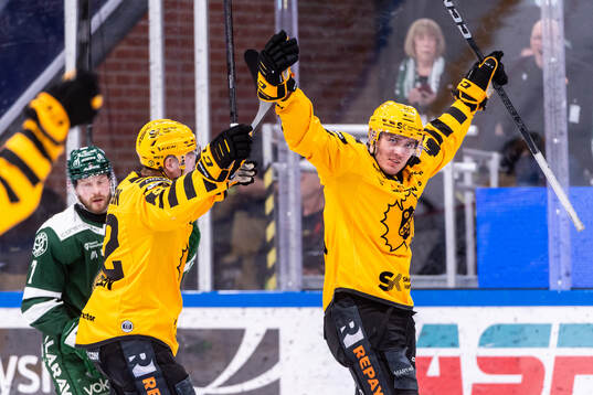 Skellefteås Max Lindholm jublar