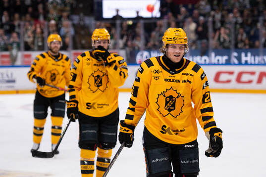 Skellefteås Anton Heikkinen deppar