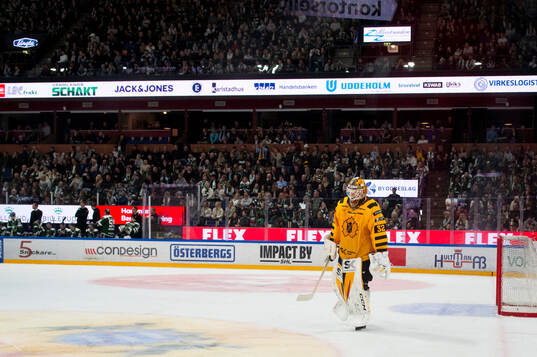 Skellefteås målvakt Linus Söderström deppar