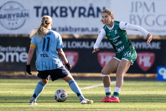 Alingsås Emmaliina Tulkki