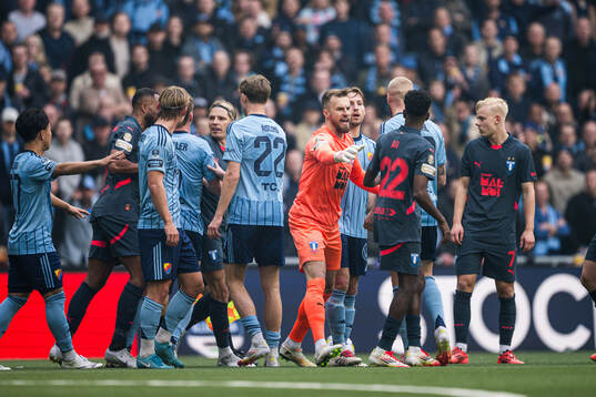 Malmö FFs målvakt Ricardo Friedrich