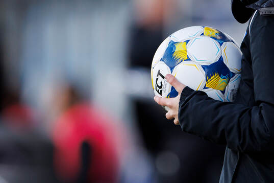 En fotboll