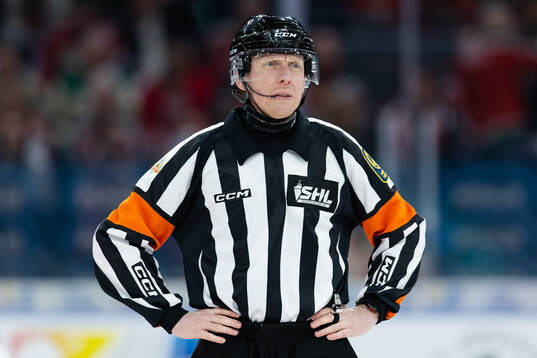 Domare Mikael Holm
